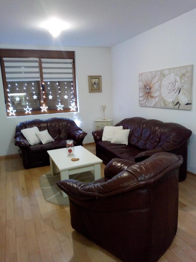 Nektar 88 Apartment Vrnjacka Banja Ngoại thất bức ảnh