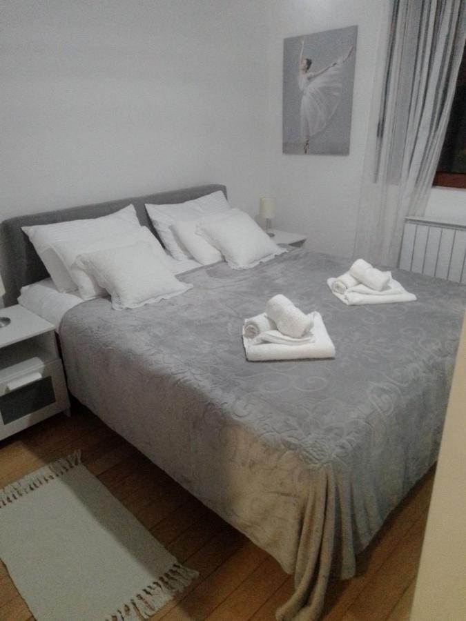 Nektar 88 Apartment Vrnjacka Banja Ngoại thất bức ảnh