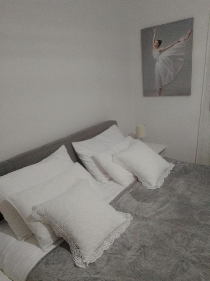 Nektar 88 Apartment Vrnjacka Banja Ngoại thất bức ảnh