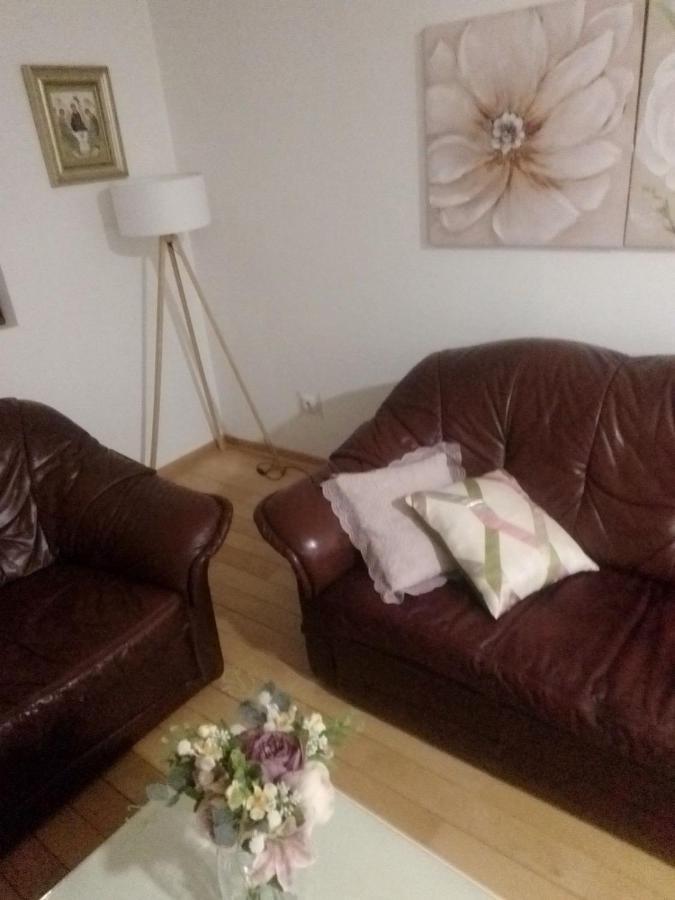 Nektar 88 Apartment Vrnjacka Banja Ngoại thất bức ảnh